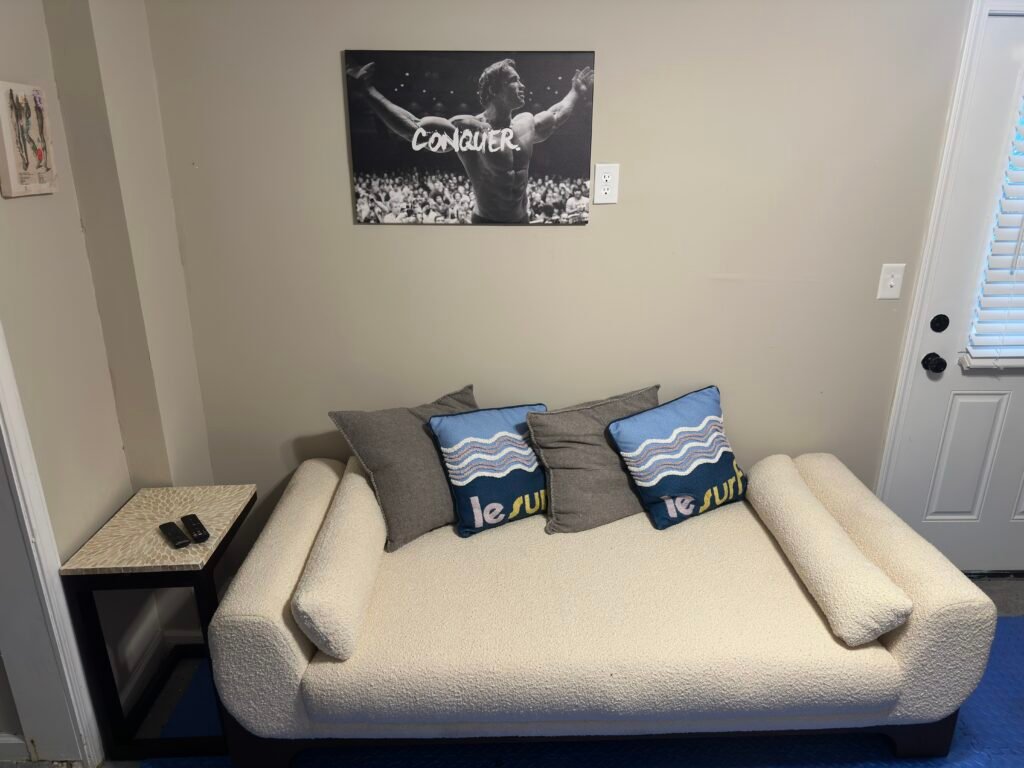 Lowerlevel gym daybed3