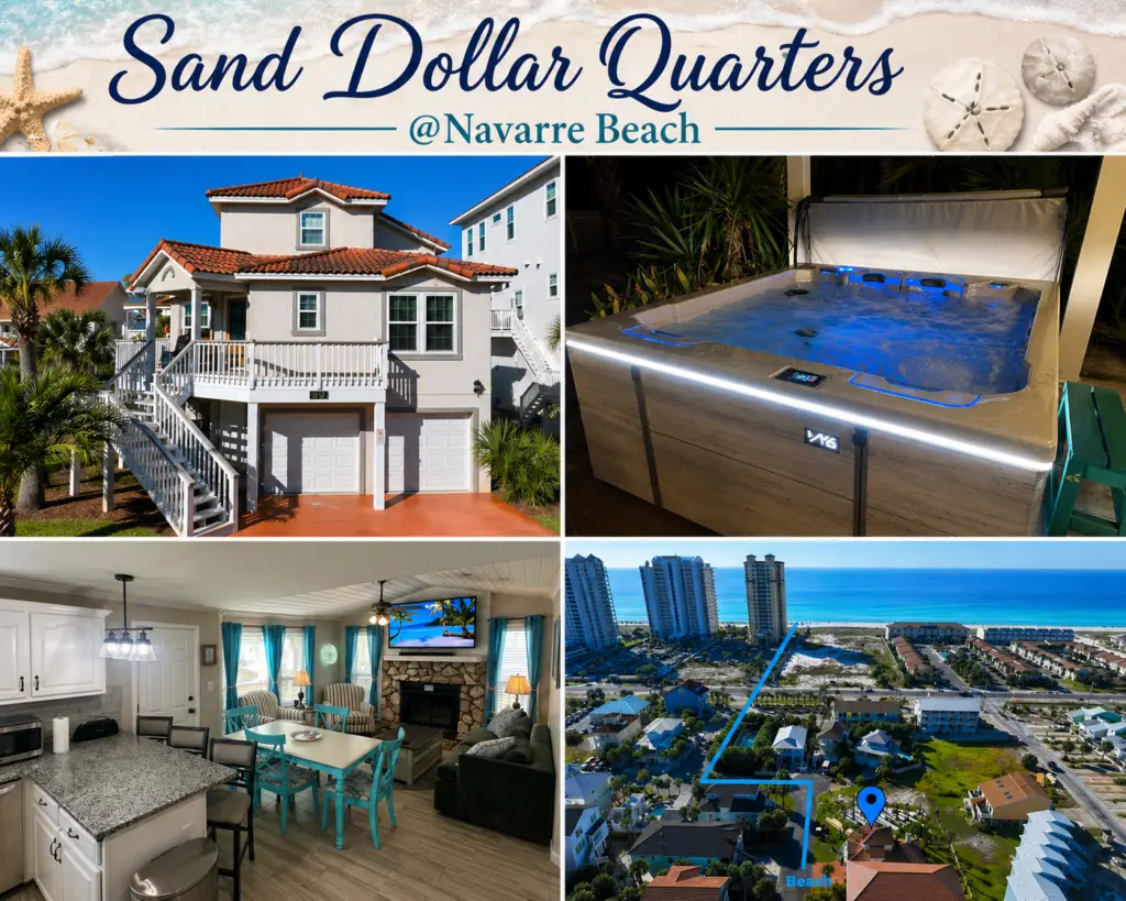 Sand Dollar Quarters Collage Picture 2026